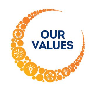 values icon