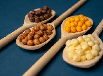 Protein Solutions for Extruded Inclusions, Snacks & Cereal