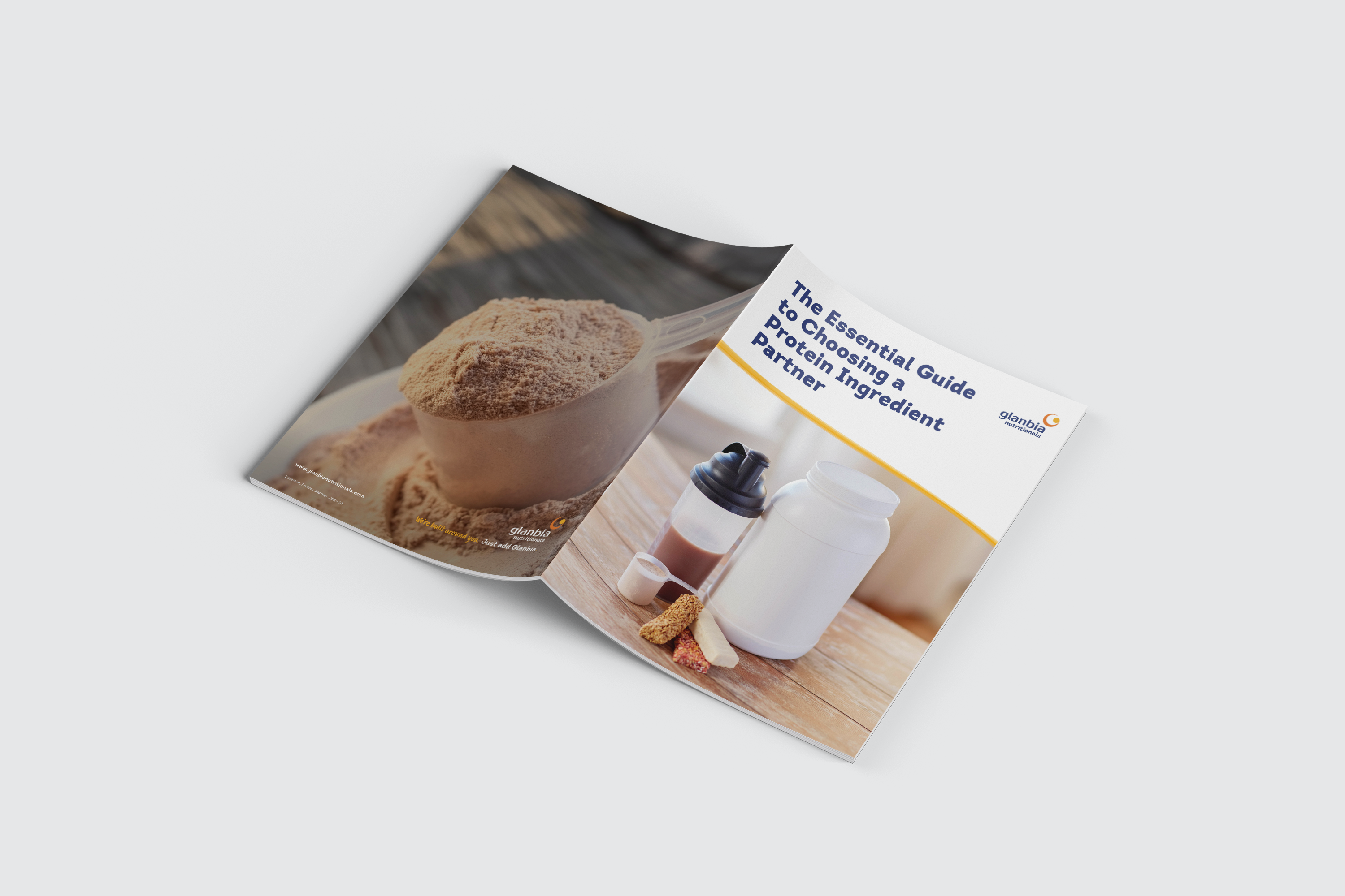The Essential Guide to Choosing a Protein Ingredient Partner