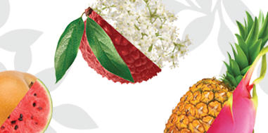 Flavor Producers