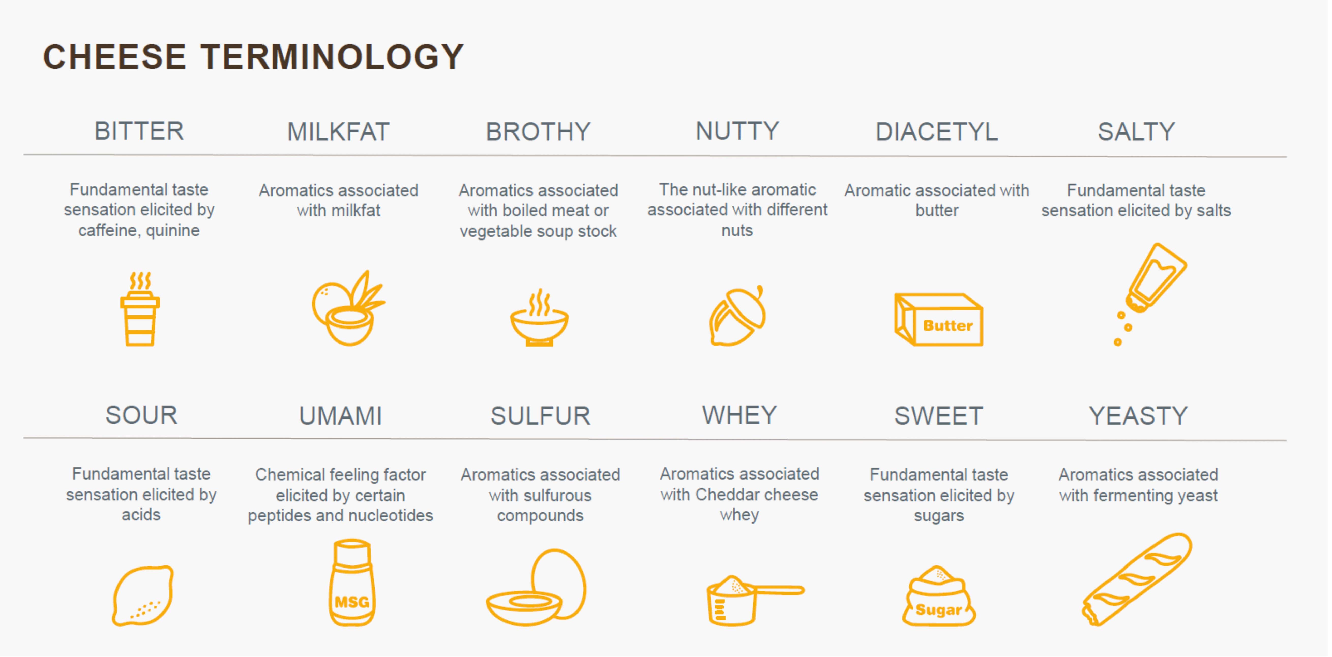 cheddar cheese terminology