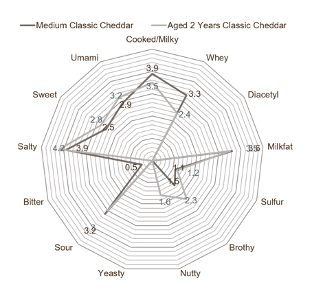 classic aged cheddar cheese