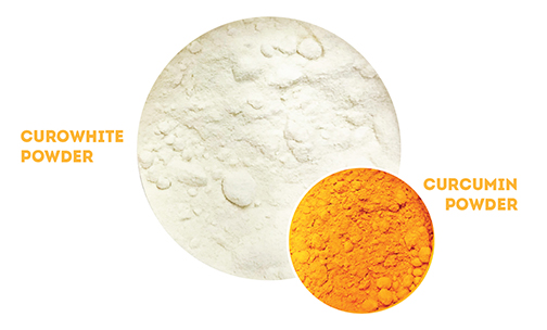 CuroWhite Curcumin Comparison