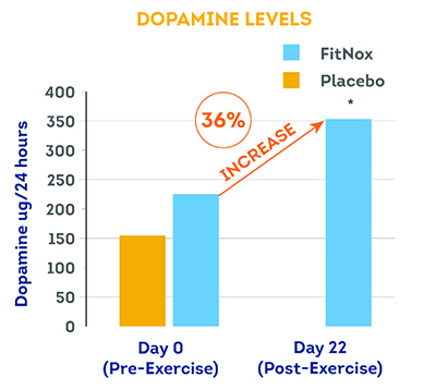 Long term study dopamine
