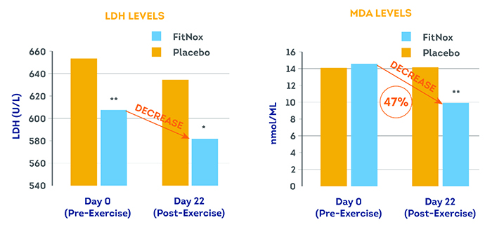 long term study muscle fatigue