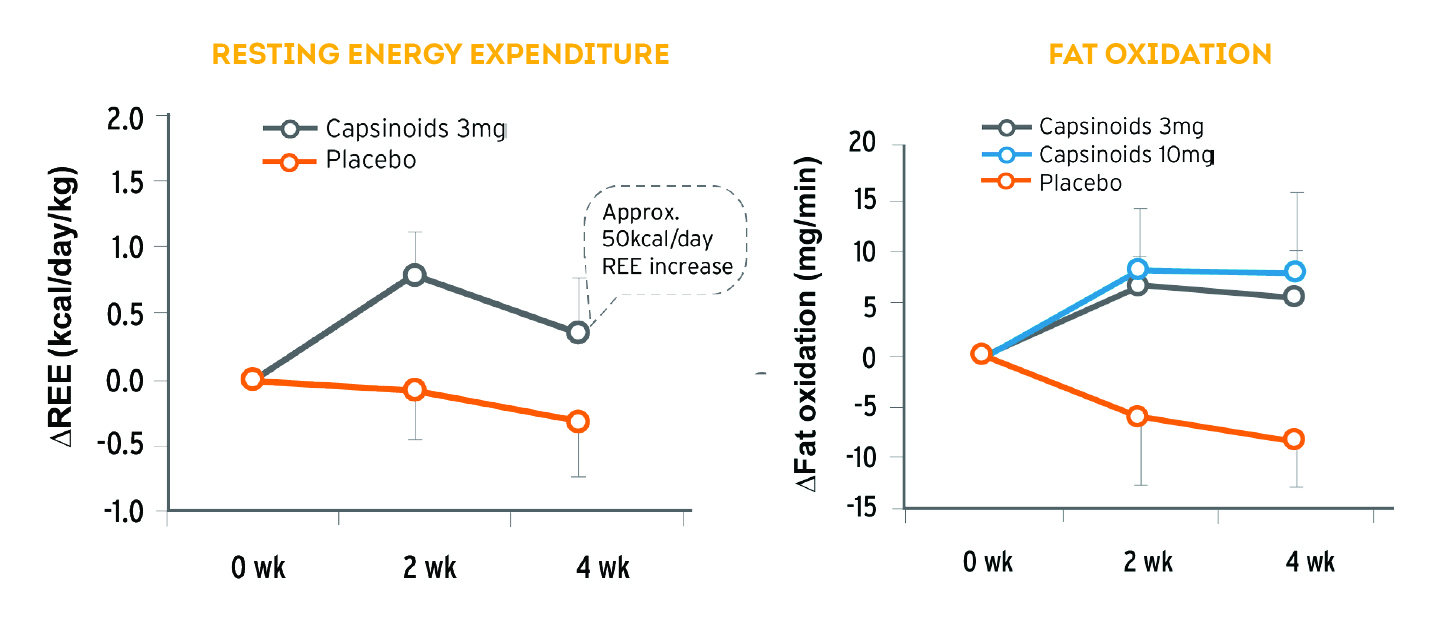 Capsiatra_expenditure_and_oxidation_chart