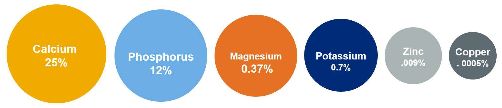 bone minerals trucal graphic with circles