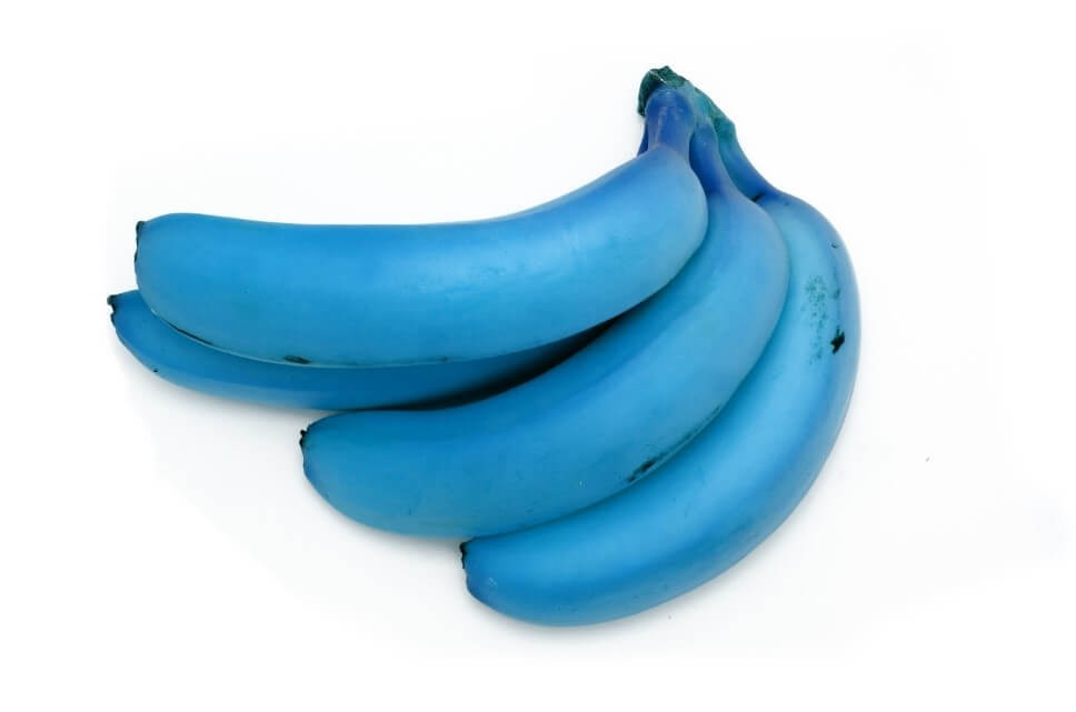 blue bananas