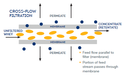 Cross Flow Microfiltration diagram