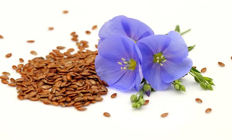 flower and seeds on table