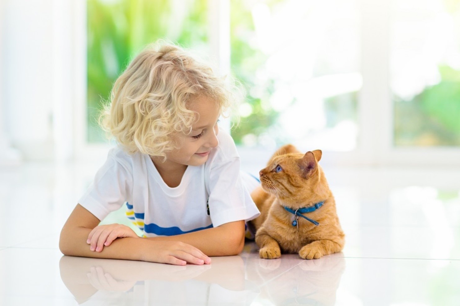 little boy with cat