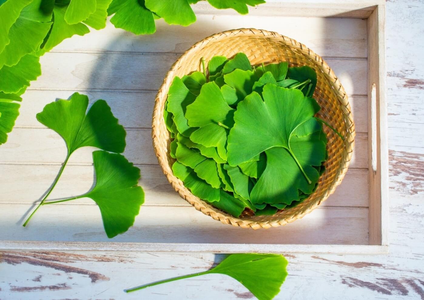 basket of leaves