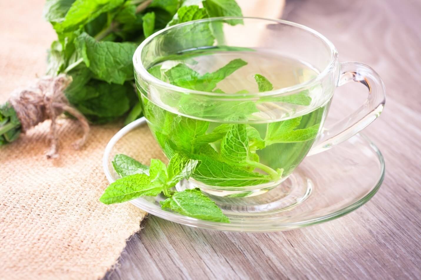 mint in a cup