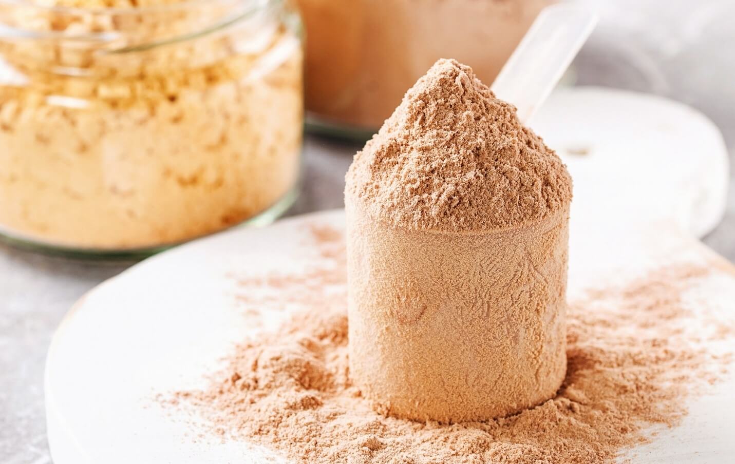 protein powder