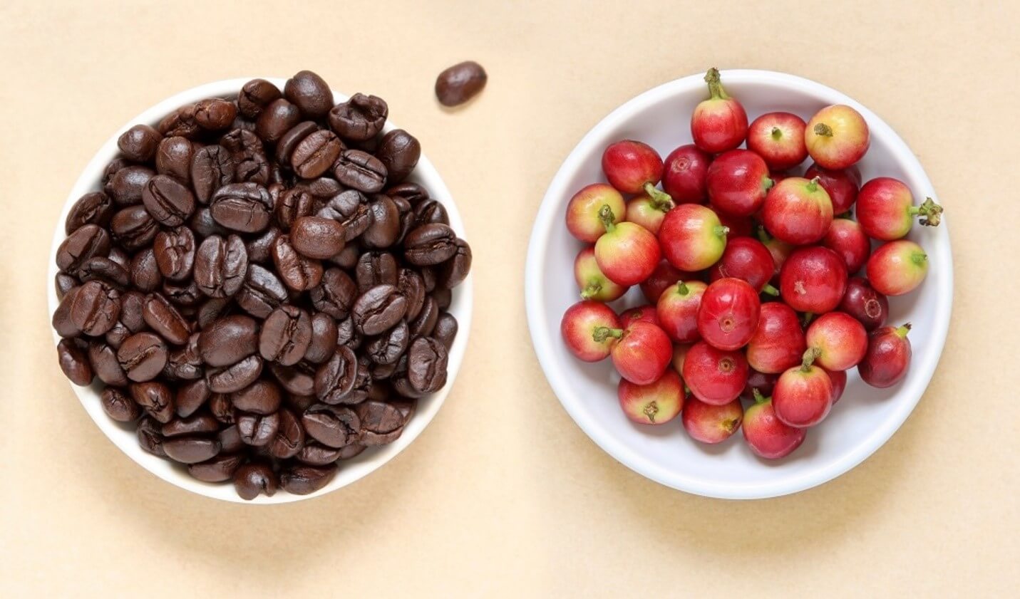 fruit and coffee beans