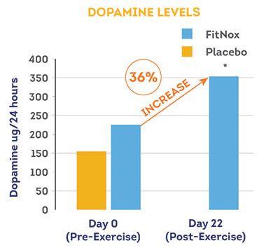 long term study dopamine