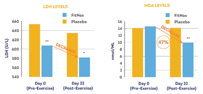 long term study muscle fatigue