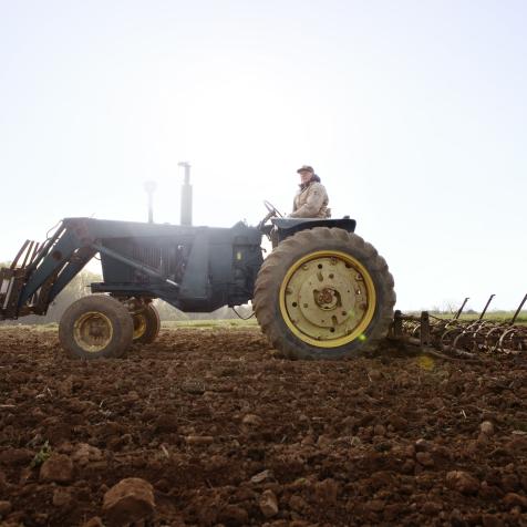 Traktor auf dem Feld