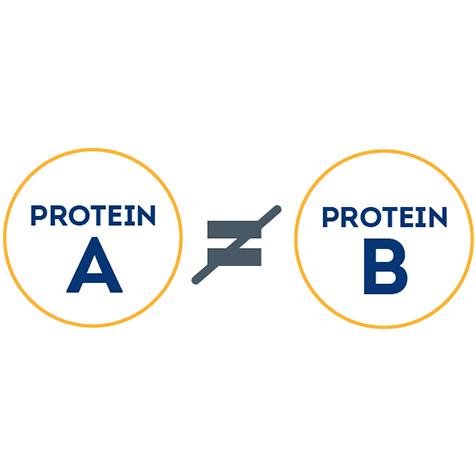 Protein