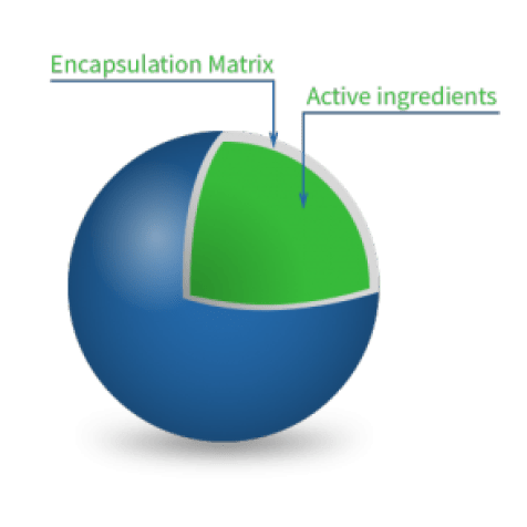 Hot Melt Microencapsulation Process diagram