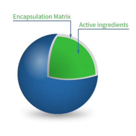 Hot Melt Microencapsulation Process diagram