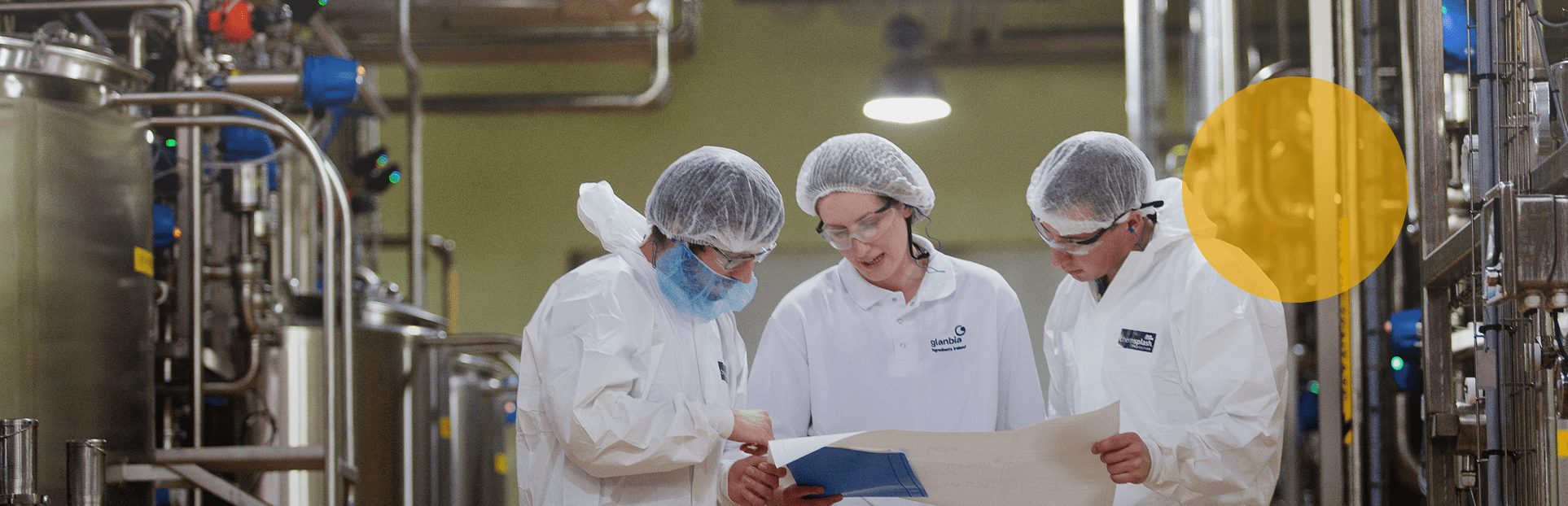 GN employees in cheese plant 