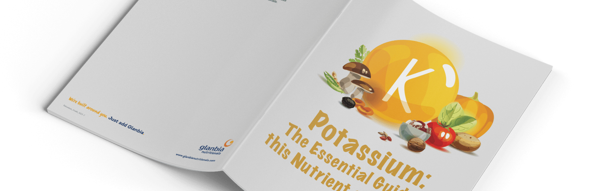 Potassium The Essential Guide to this Nutrient of Concern