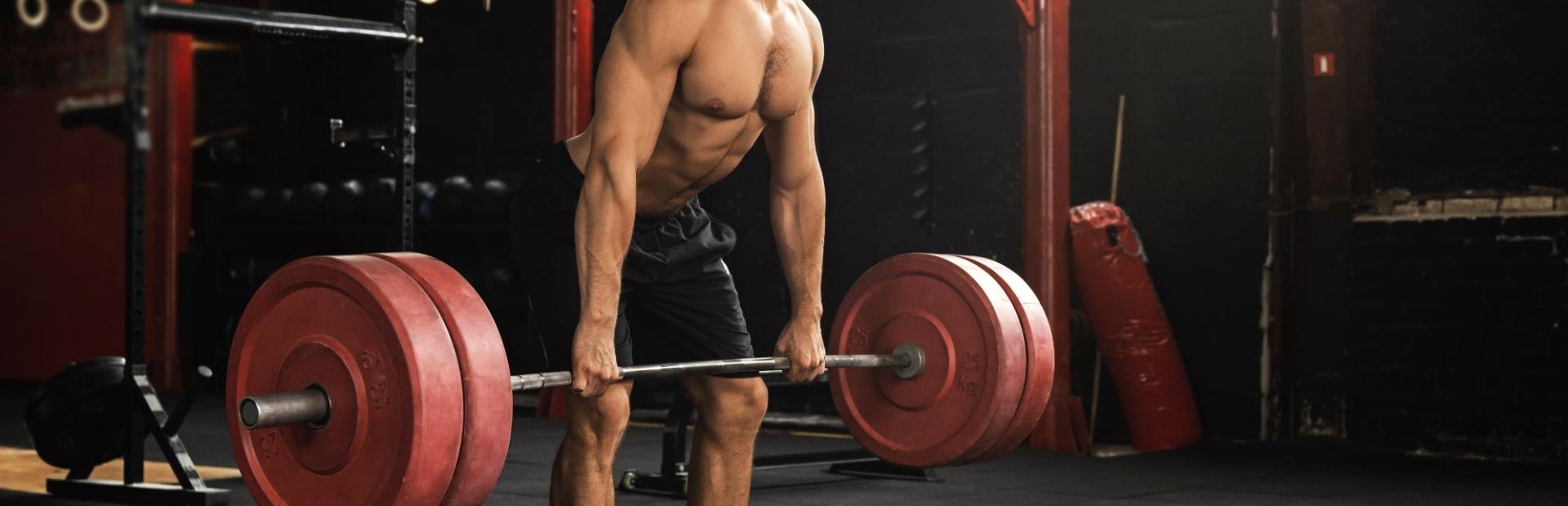 Muscle Synthesis Stimulators  – Hydrovon® EET & NXP-GF®