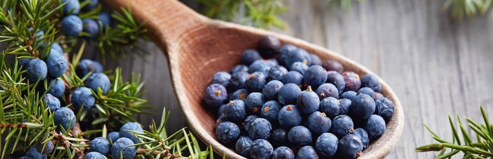 blueberries in a spoon