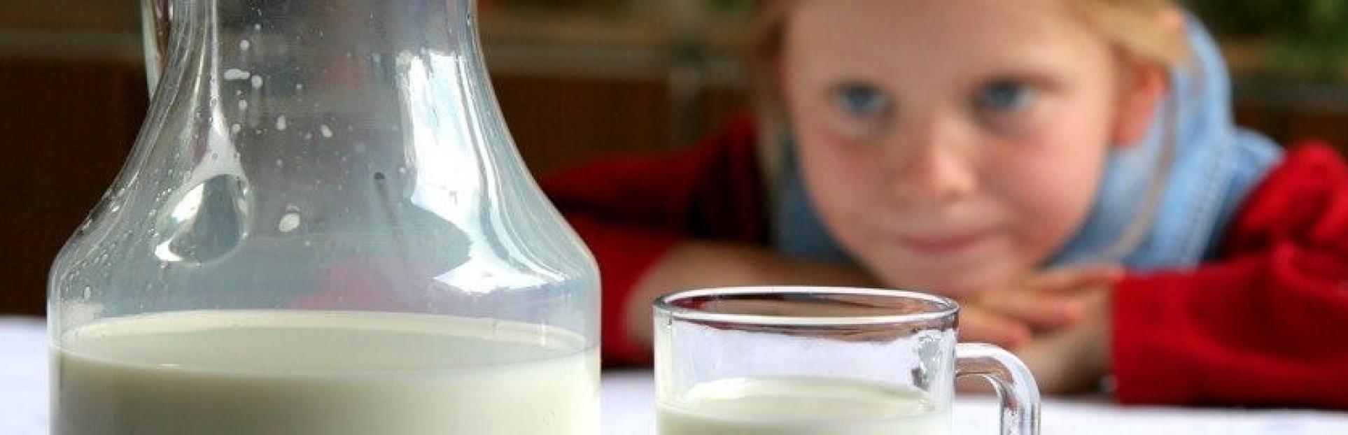 child looking at milk