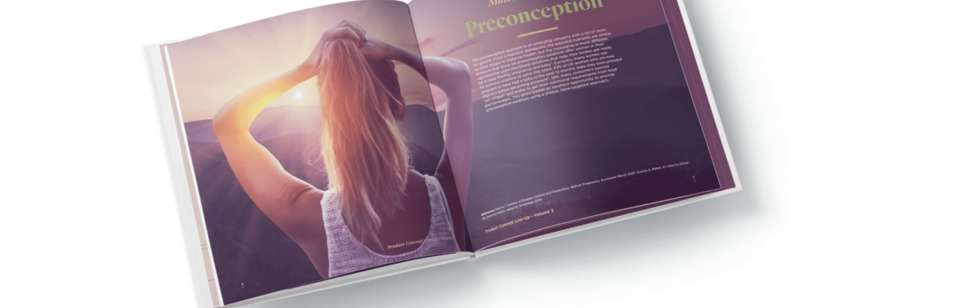 preconception 