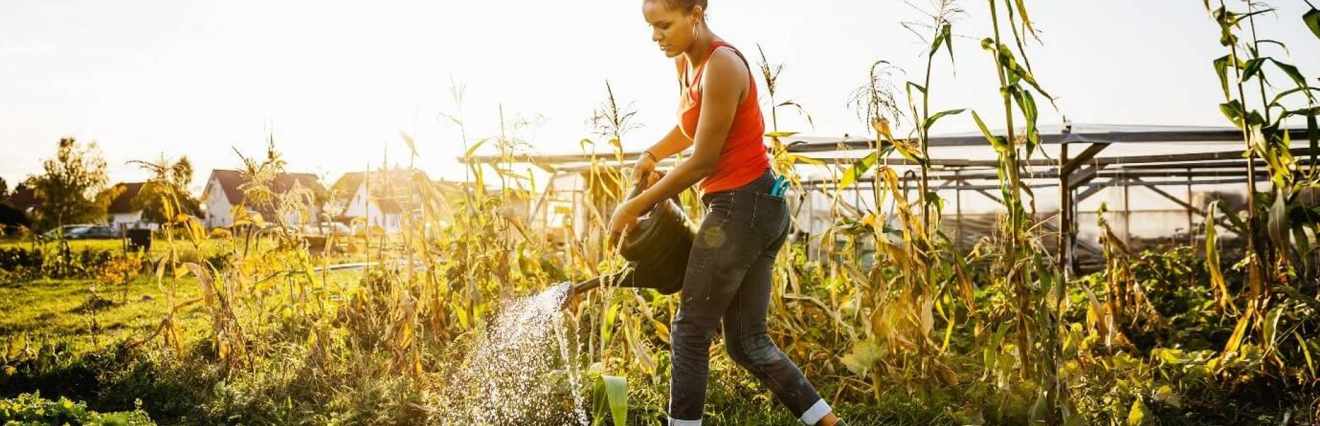 woman gardening