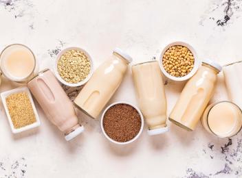 Plant-Based Beverage Solutions 