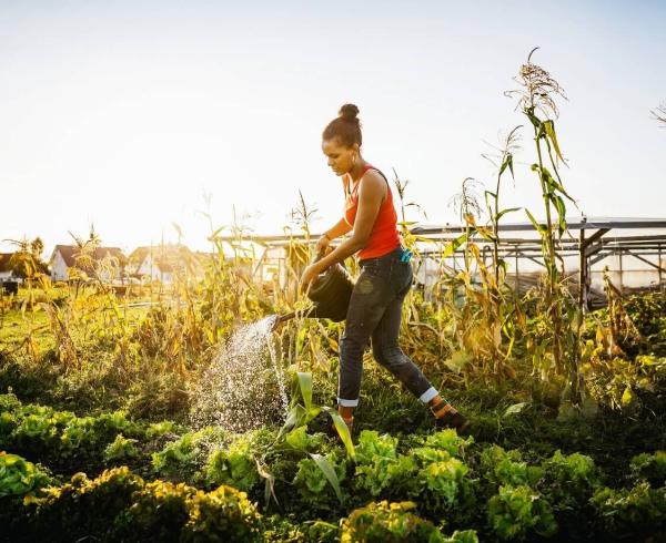 woman gardening