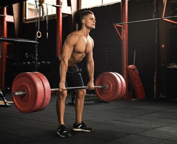 Muscle Synthesis Stimulators  – Hydrovon® EET & NXP-GF®