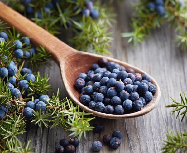 blueberries in a spoon