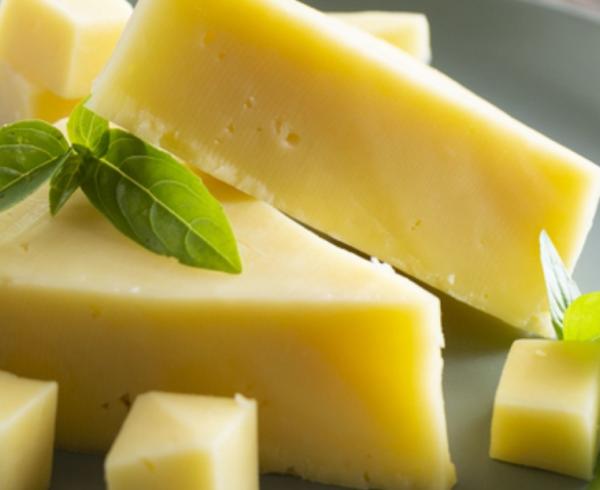 Global Cheese Market Trends