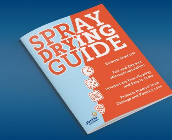 spray dying guide