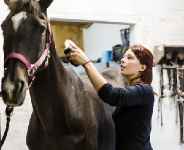 Animal Nutrition