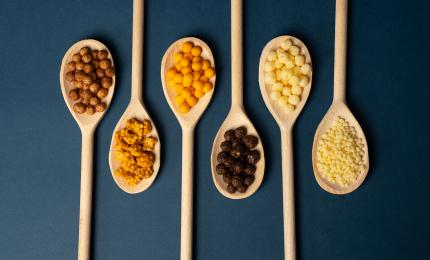 Protein Solutions for Extruded Inclusions, Snacks & Cereal